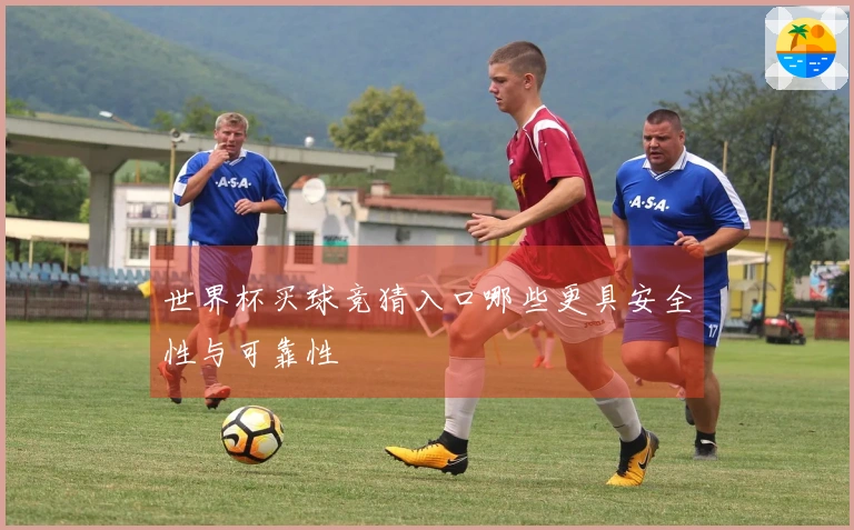 世界杯买球竞猜入口哪些更具安全性与可靠性
